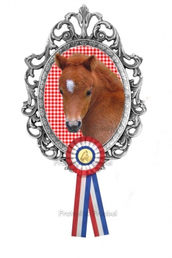 Strijkapplicatie Paard